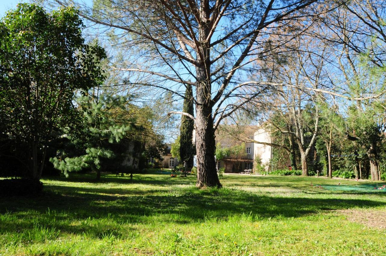 Orangerie De Cardet - Maison D'Hotes - B&B Dış mekan fotoğraf