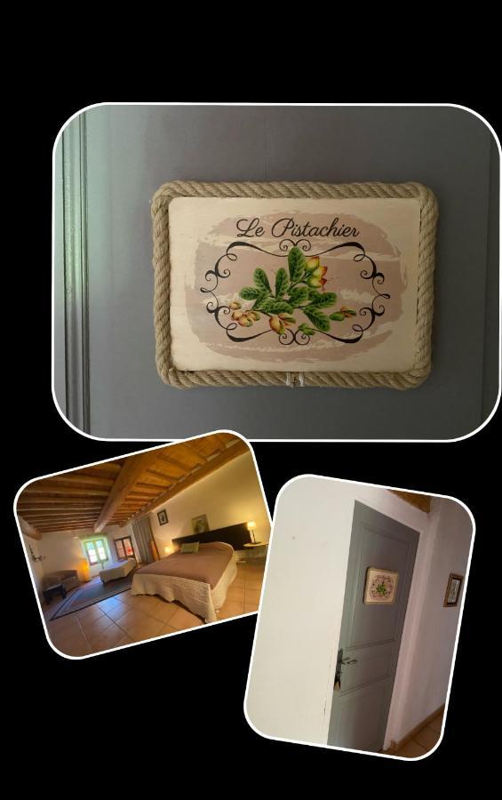 Orangerie De Cardet - Maison D'Hotes - B&B Dış mekan fotoğraf